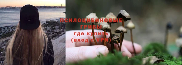 трава Киреевск