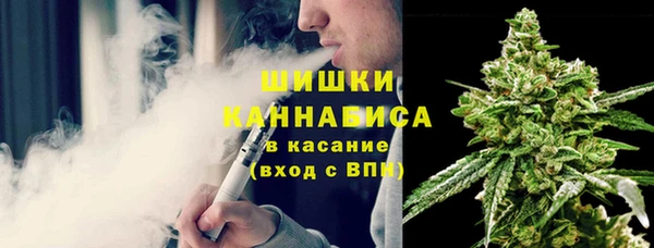 ПСИЛОЦИБИНОВЫЕ ГРИБЫ Козельск